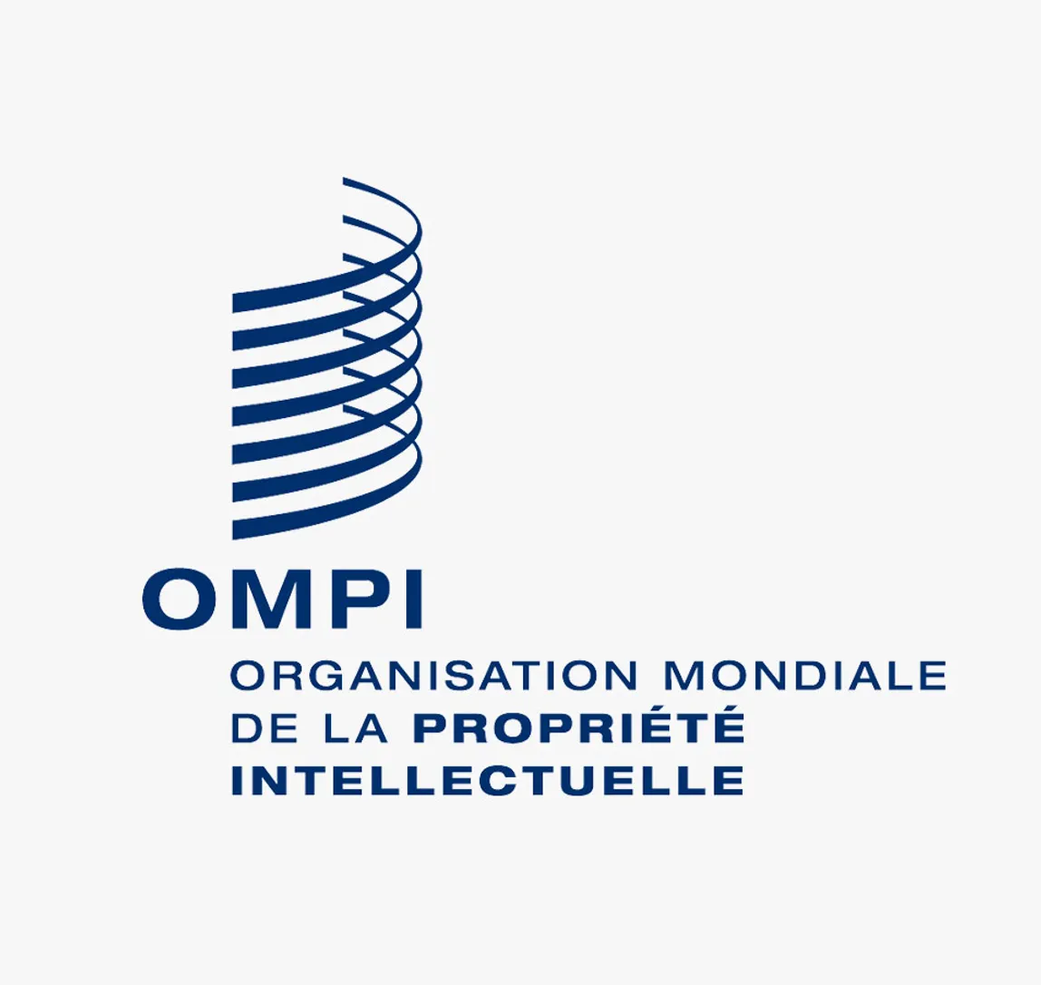 OMPI et ANRT résolution litiges nom de domaine Maroc